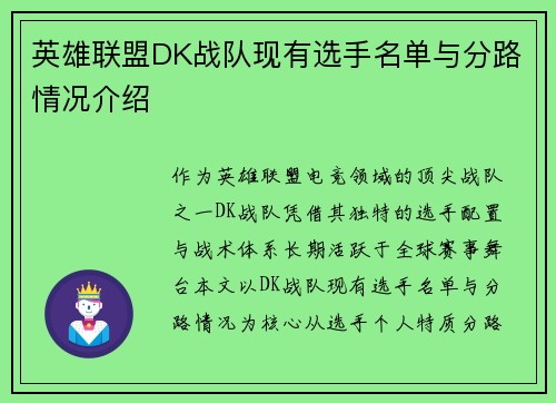 英雄联盟DK战队现有选手名单与分路情况介绍
